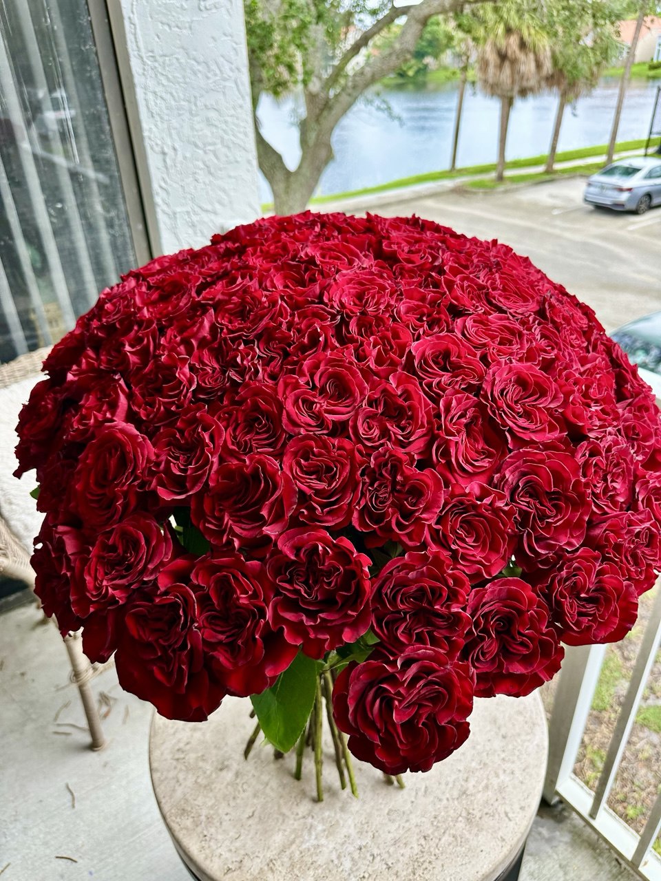 A giant bouquet of 101 premium red roses.