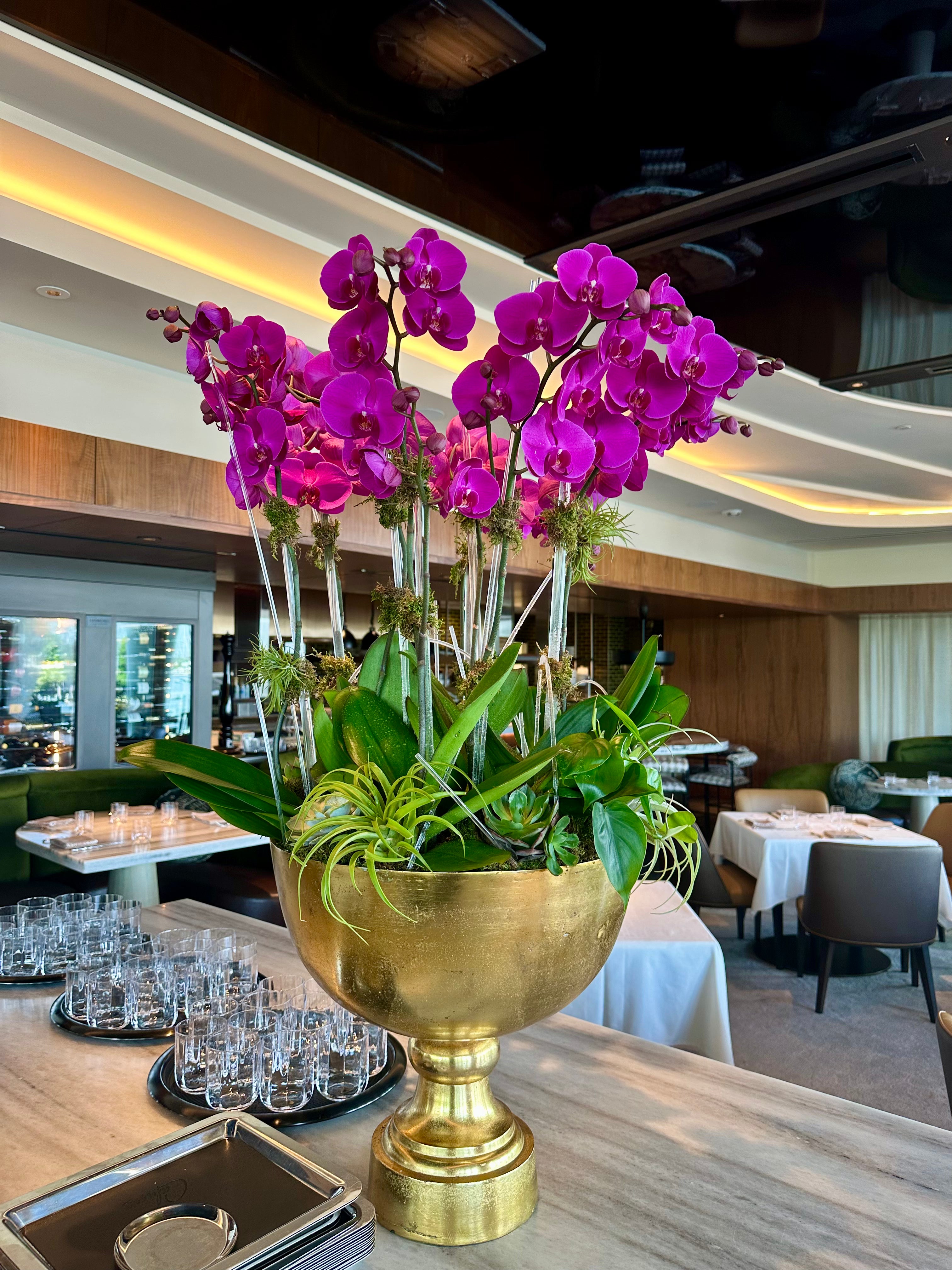 Elegant purple orchid arrangement with lush green foliage and succulents in a golden decorative vase.