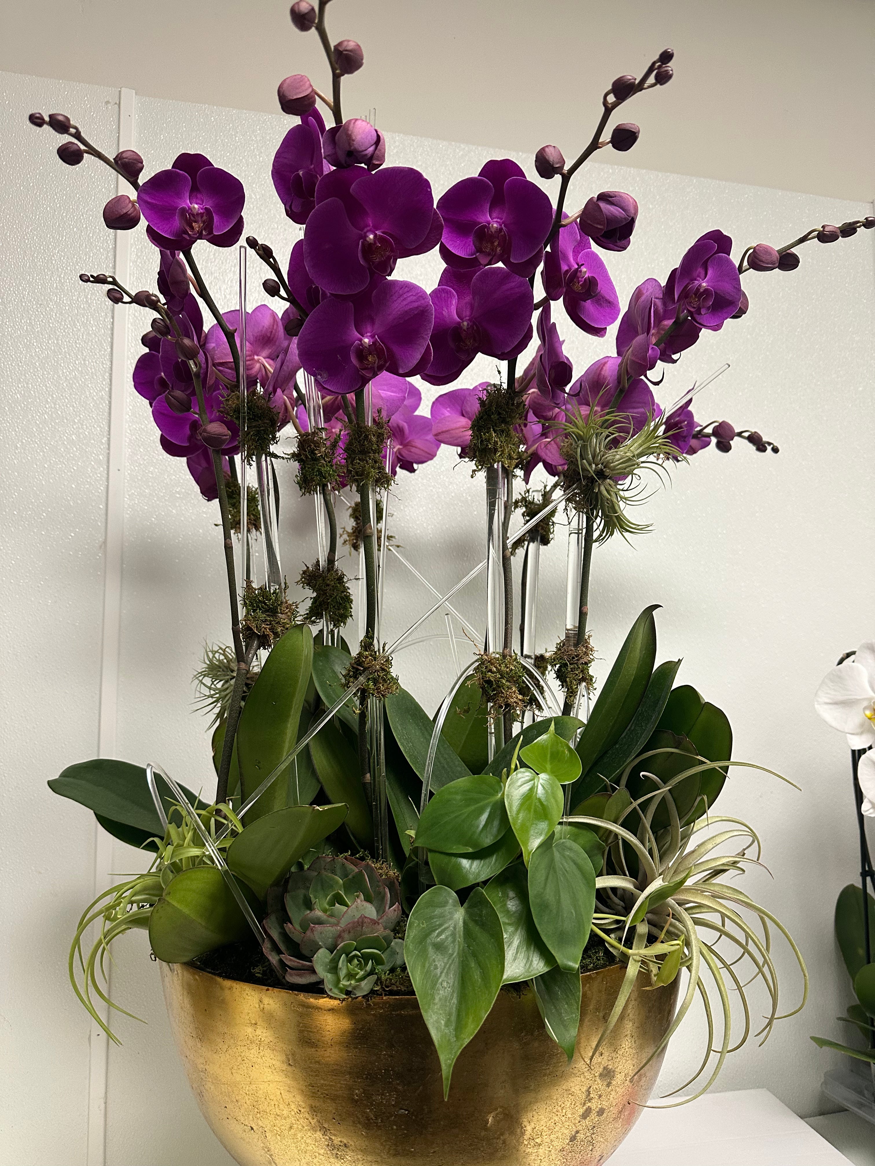 Elegant purple orchid arrangement with lush green foliage and succulents in a golden decorative vase.