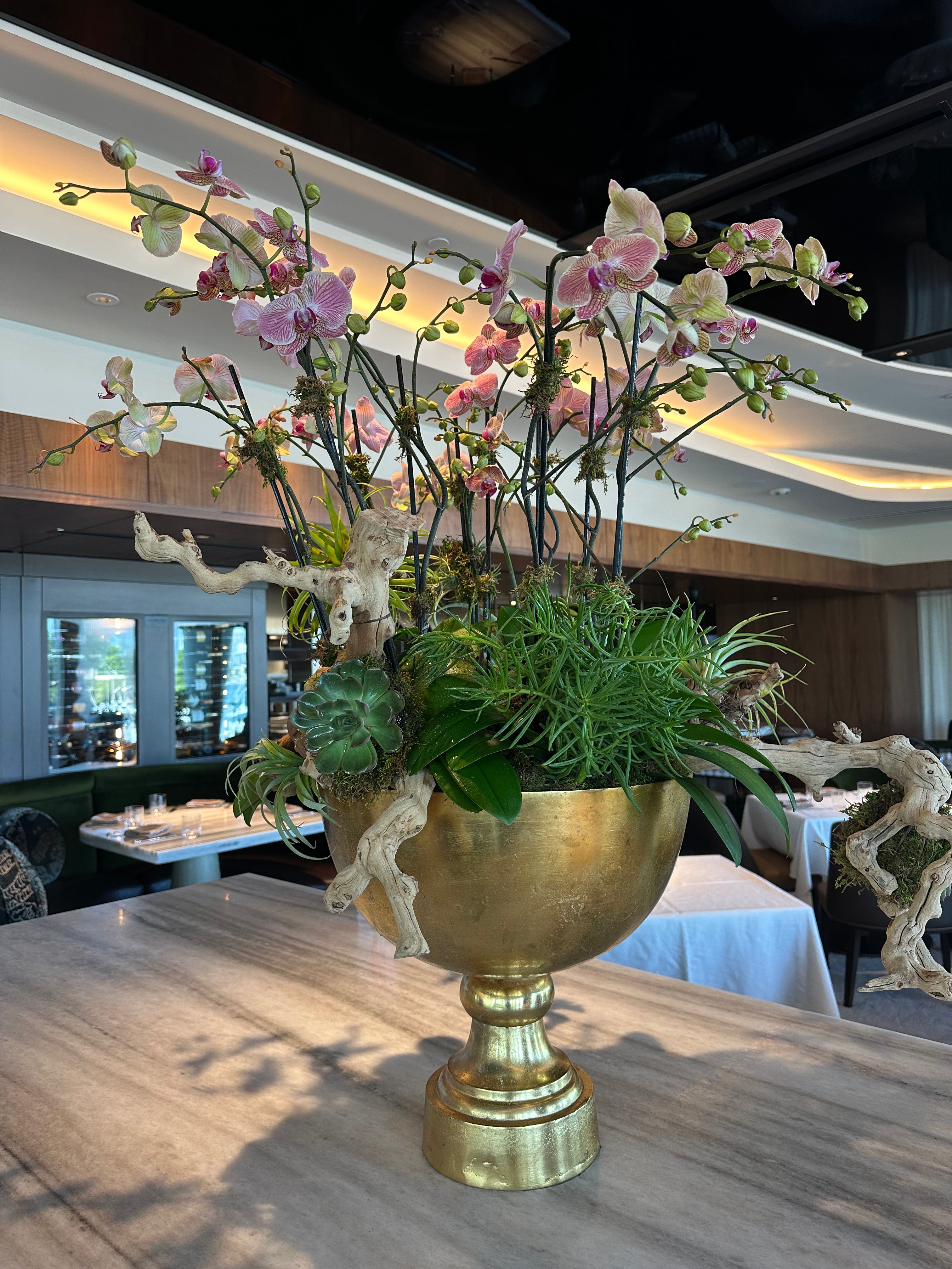 Artistic arrangement of pink orchids, succulents, and air plants with driftwood in a golden vase.