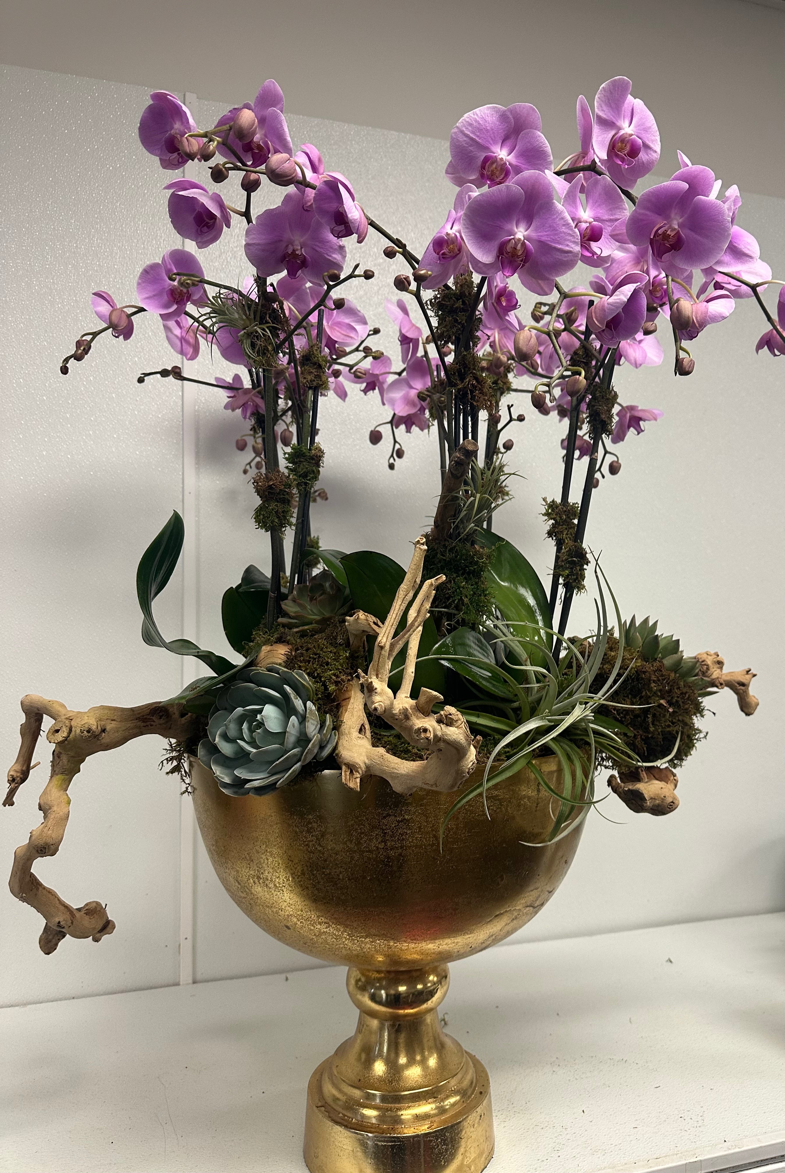 Luxurious arrangement of pink orchids with succulents, driftwood, and lush greenery in a golden decorative vase.