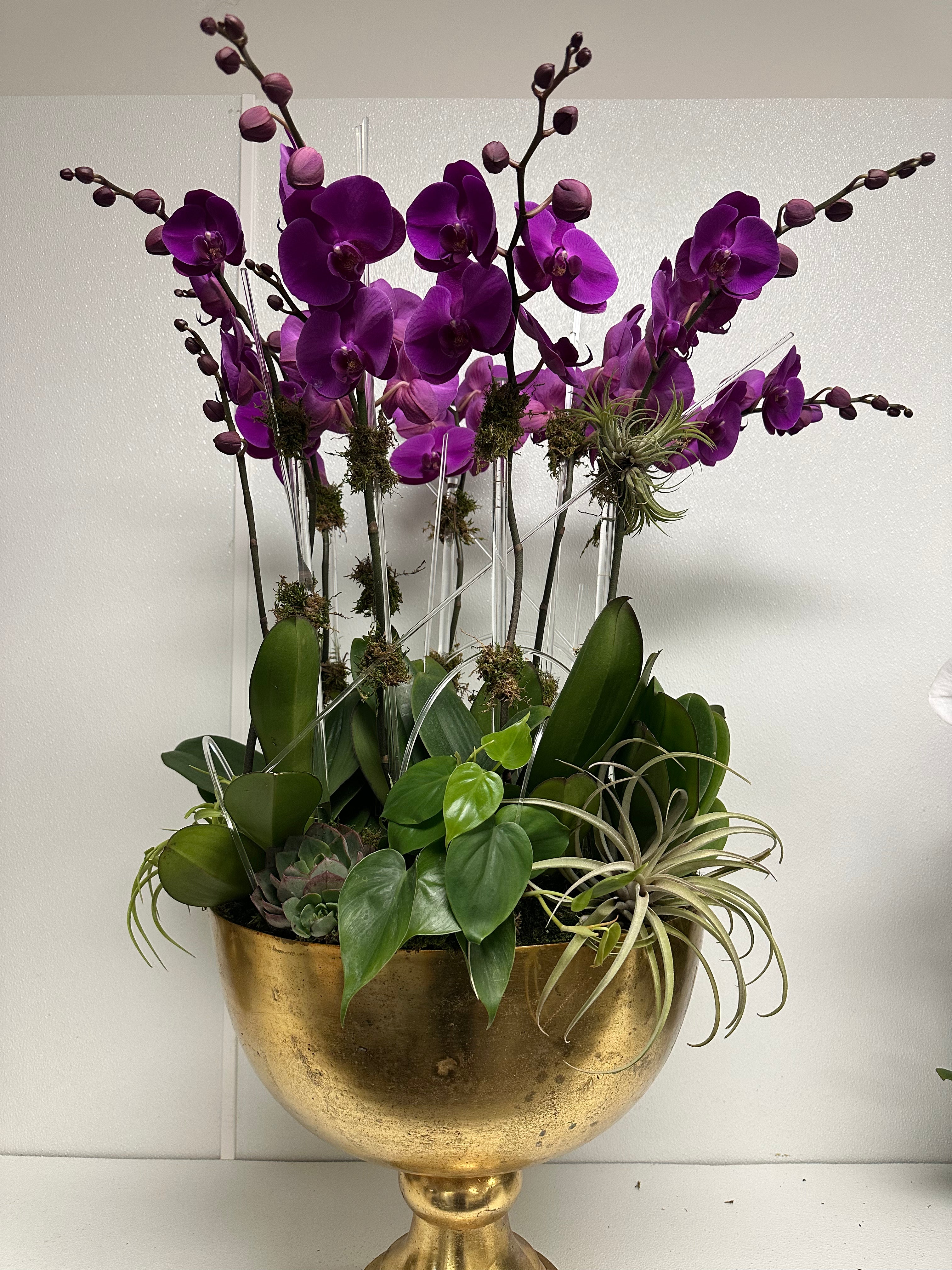 Elegant purple orchid arrangement with lush green foliage and succulents in a golden decorative vase.
