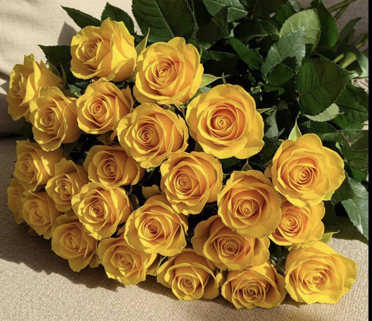 Premium Ecuadorian Yellow Roses