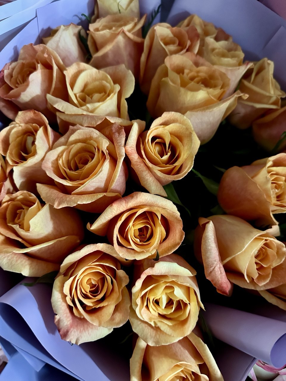 Premium Ecuadorian Orange Roses