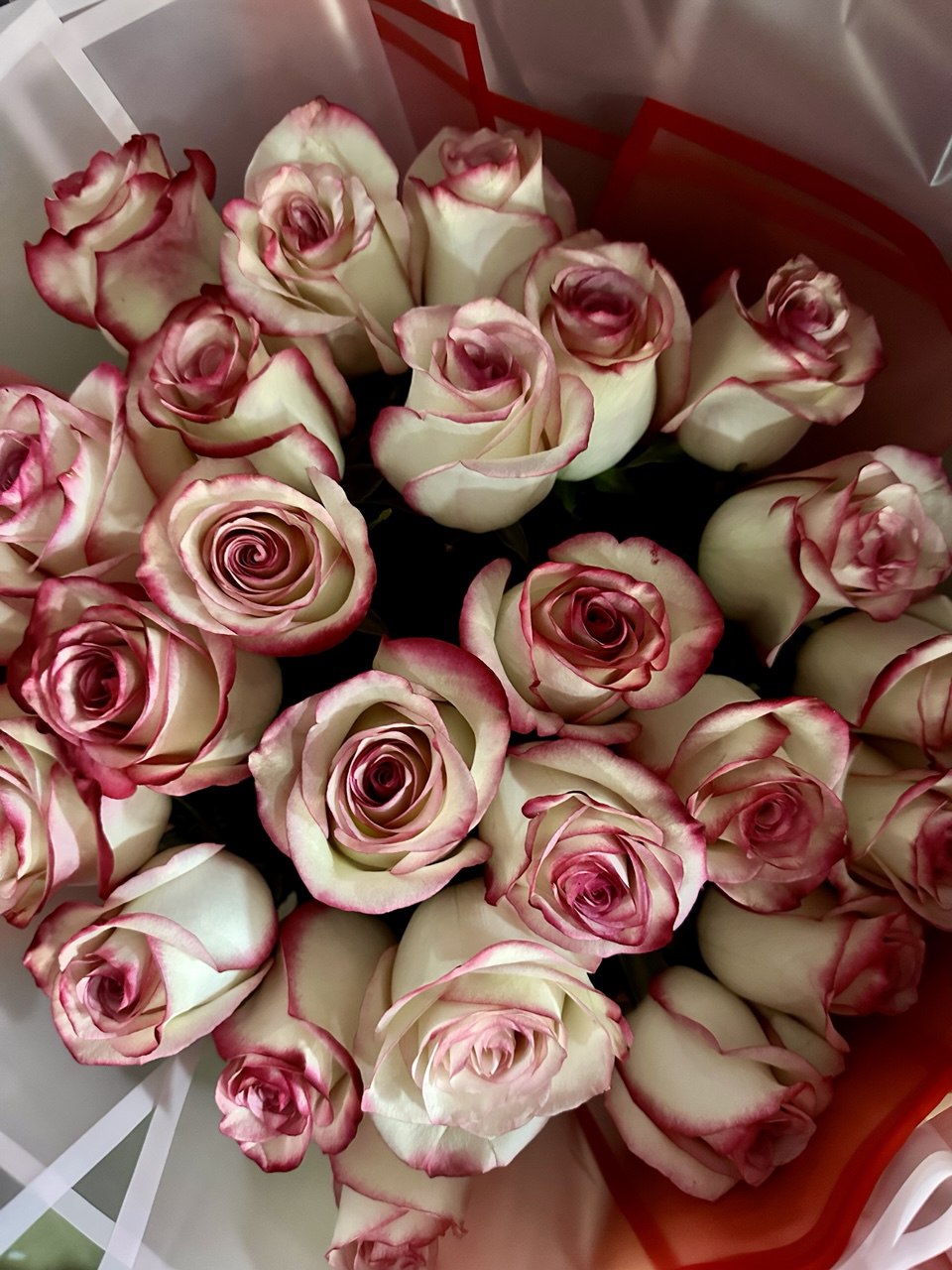 Premium Ecuadorian White & Pink Roses