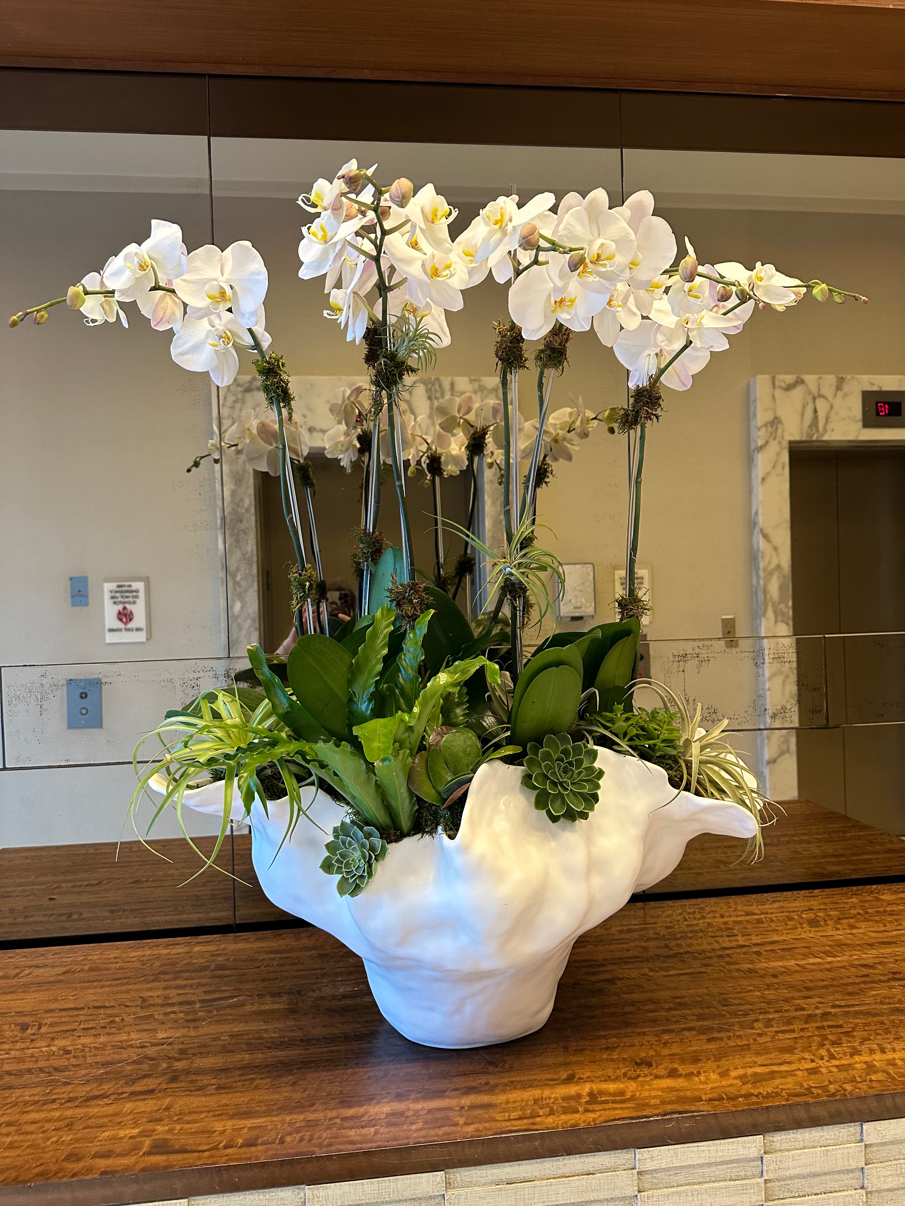 Elegant arrangement of white orchids with succulents, greenery, and air plants in a sculptural white vase.
