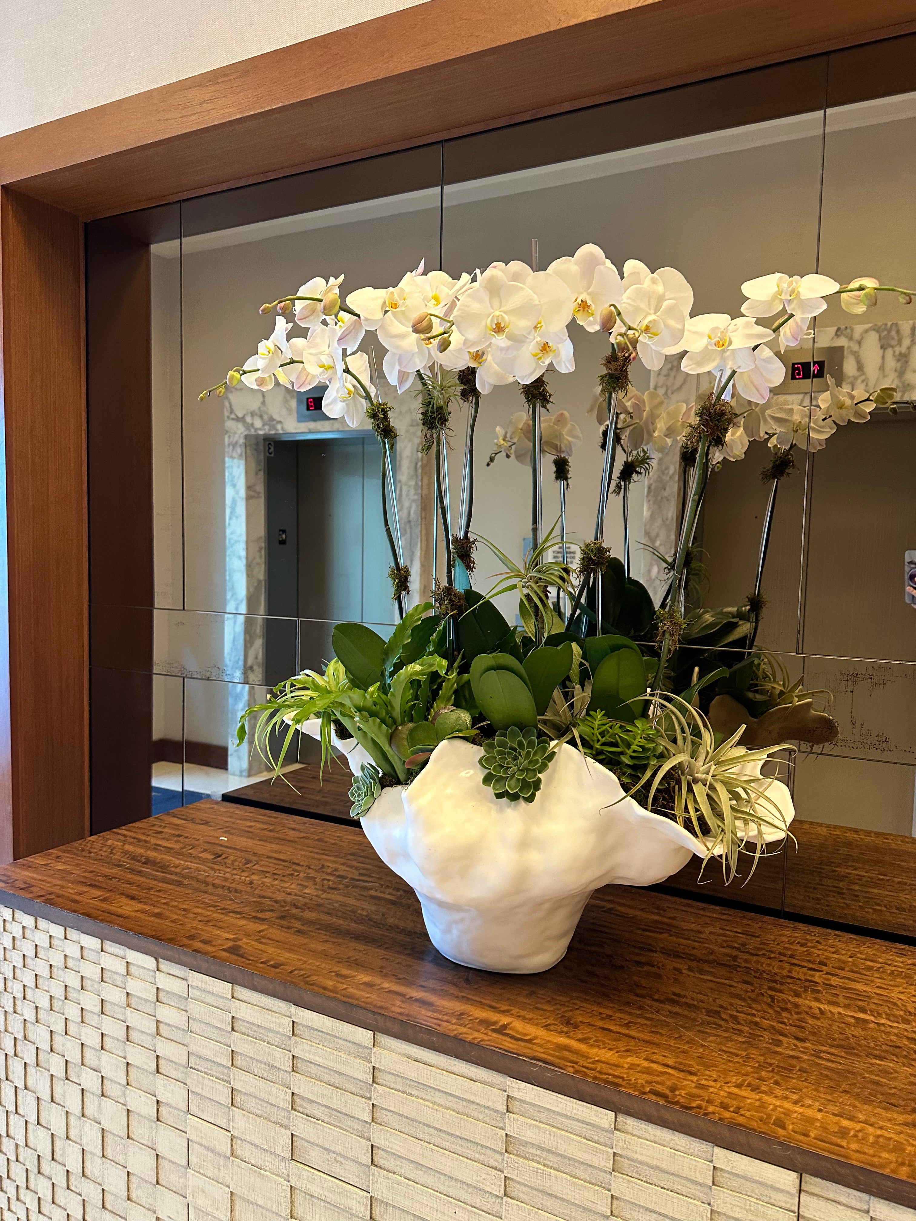 Elegant arrangement of white orchids with succulents, greenery, and air plants in a sculptural white vase.
