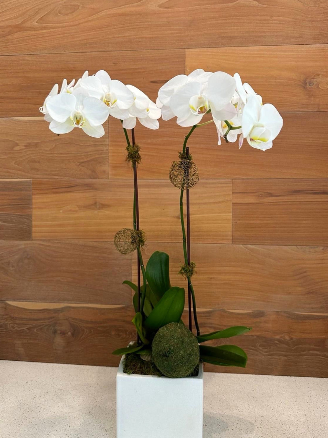 Elegant arrangement of white orchids with succulents, greenery, and air plants in a sculptural white vase.