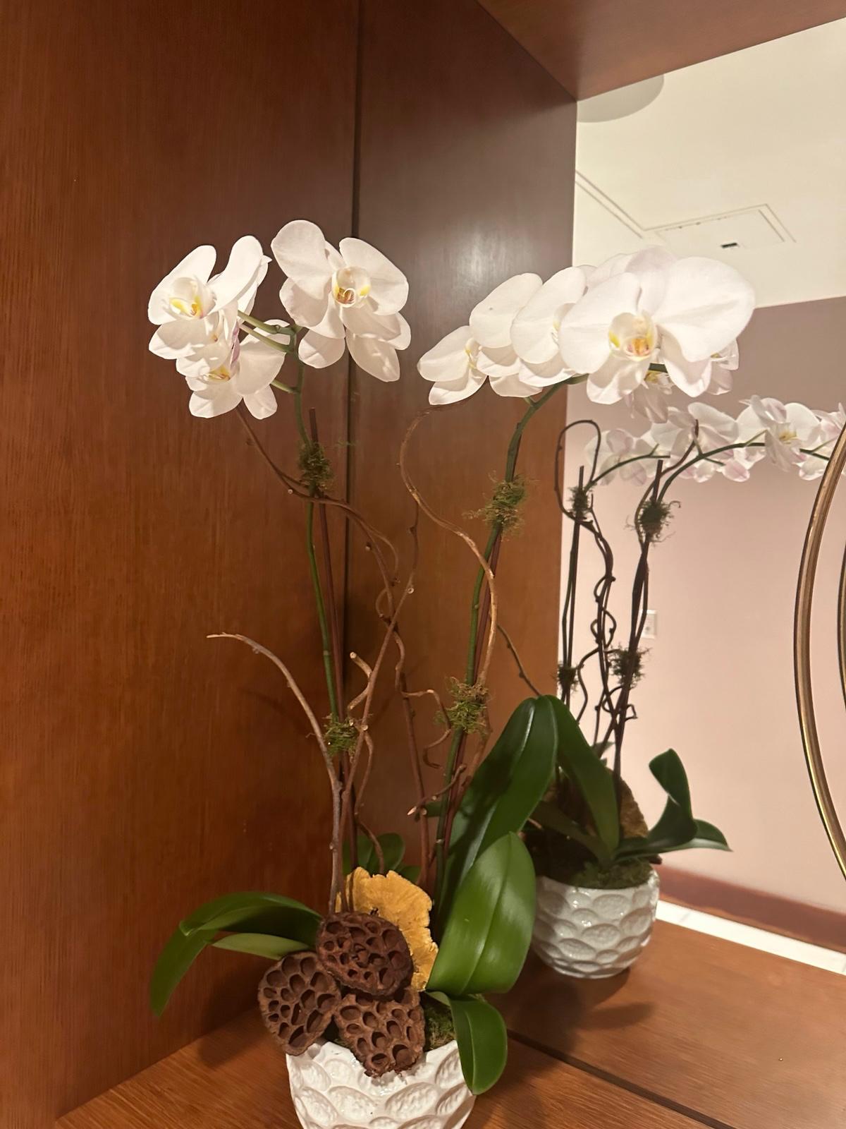 Elegant arrangement of white orchids with succulents, greenery, and air plants in a sculptural white vase.