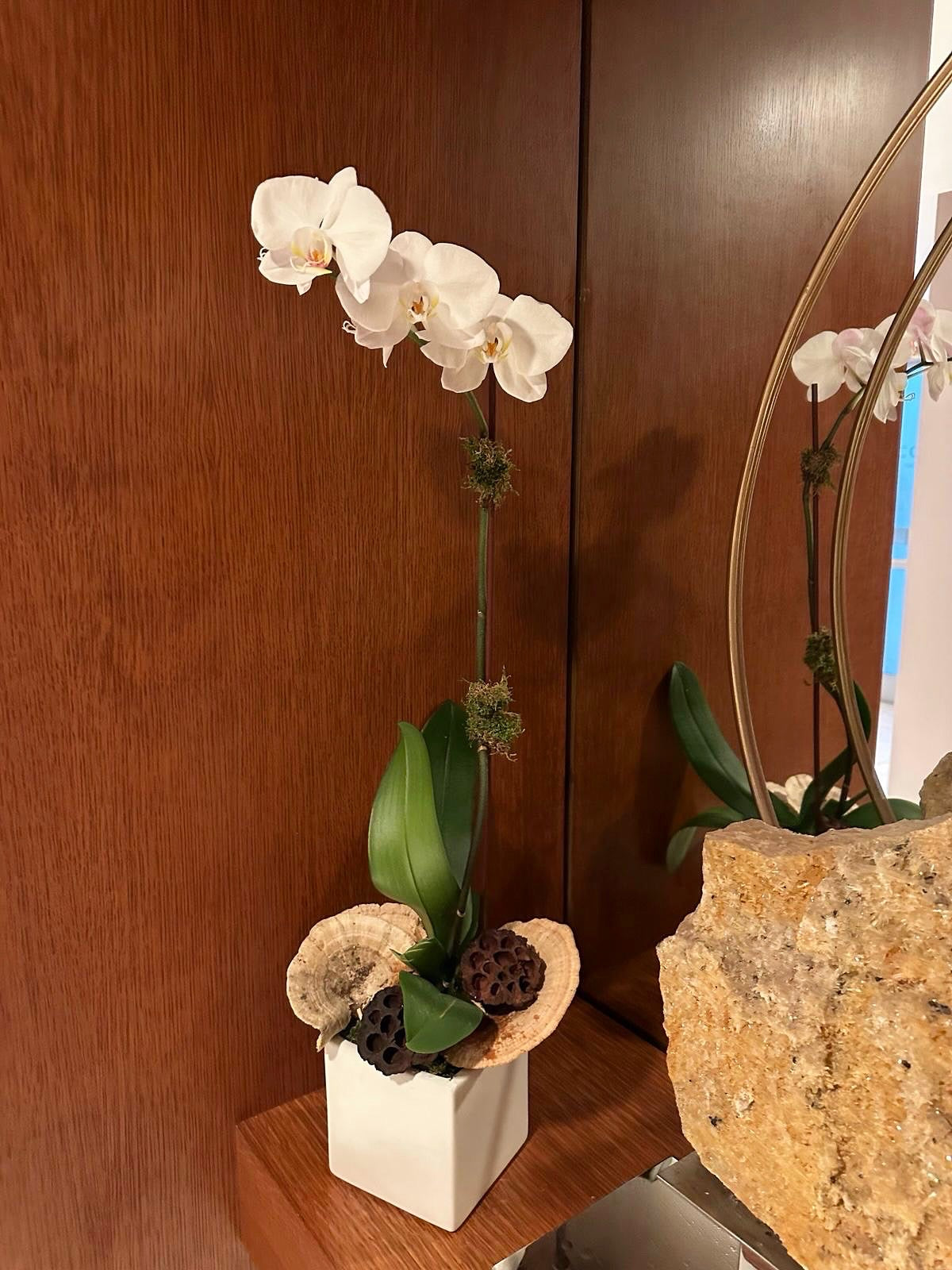 Elegant arrangement of white orchids with succulents, greenery, and air plants in a sculptural white vase.