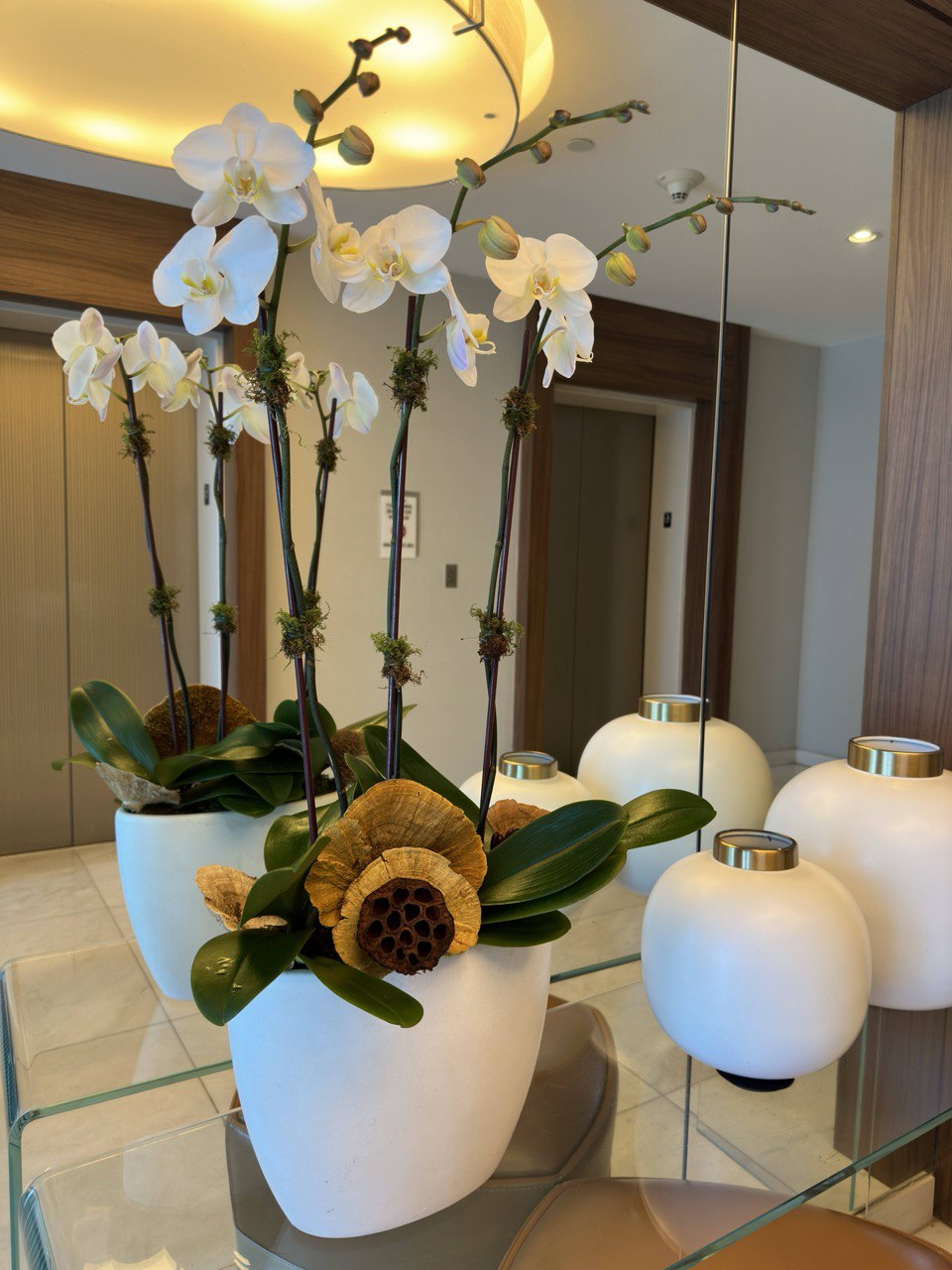 Elegant arrangement of white orchids with succulents, greenery, and air plants in a sculptural white vase.