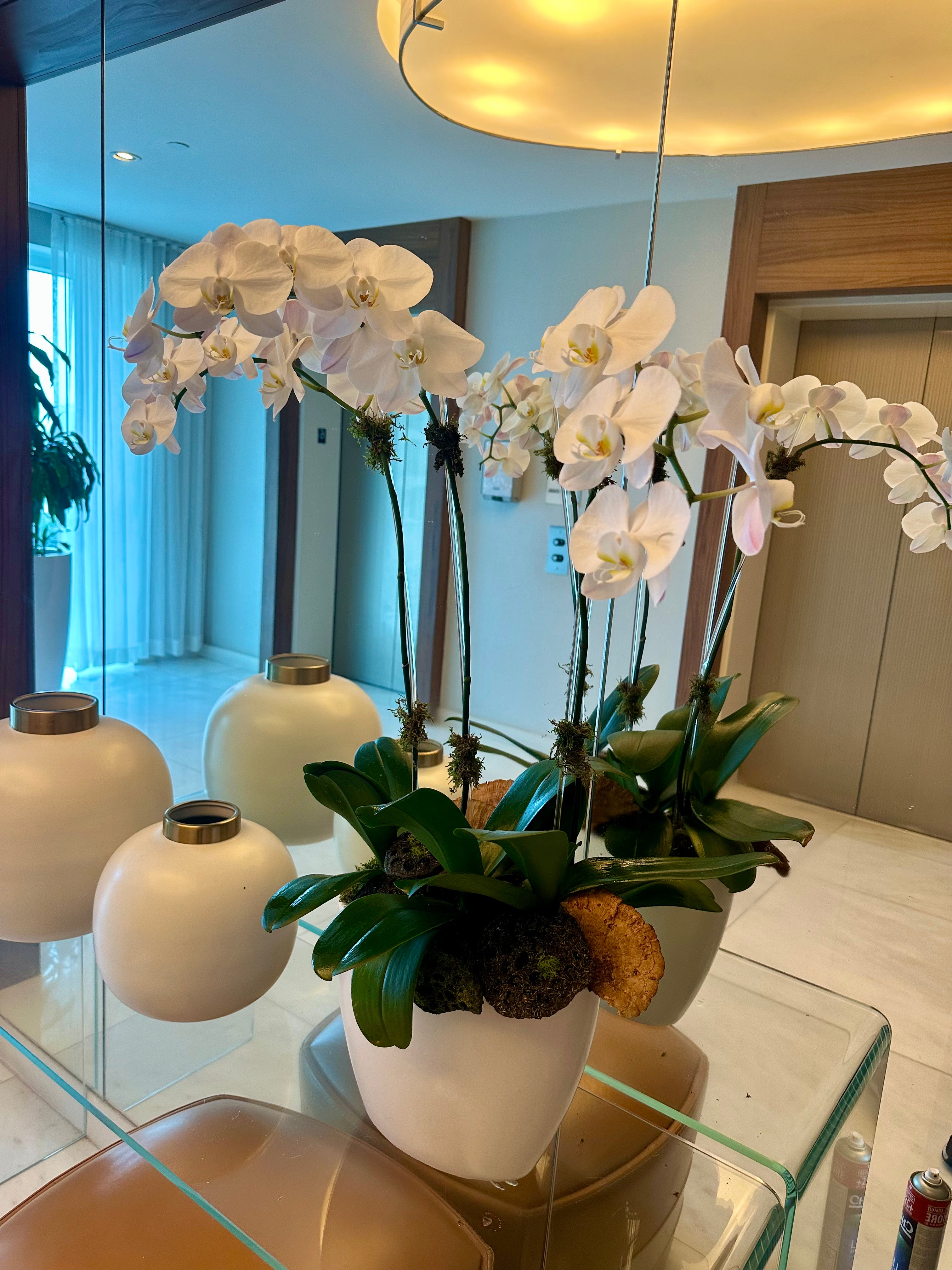 Elegant arrangement of white orchids with succulents, greenery, and air plants in a sculptural white vase.