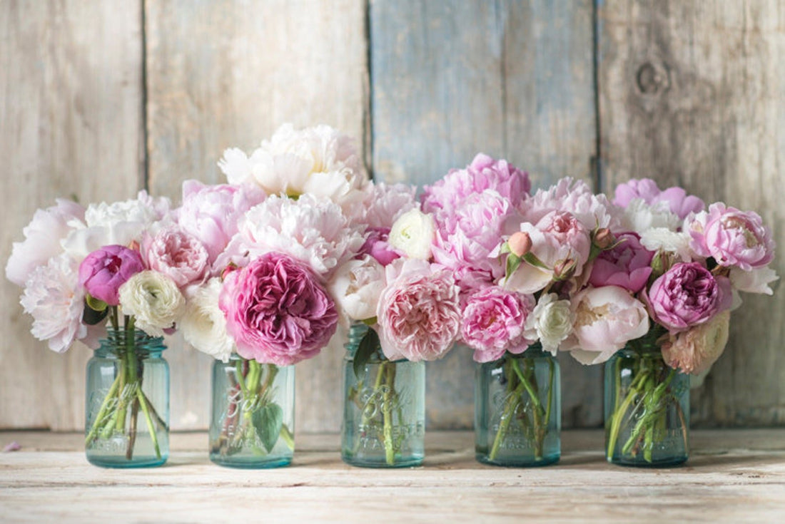 How to Care for Peonies in a Vase