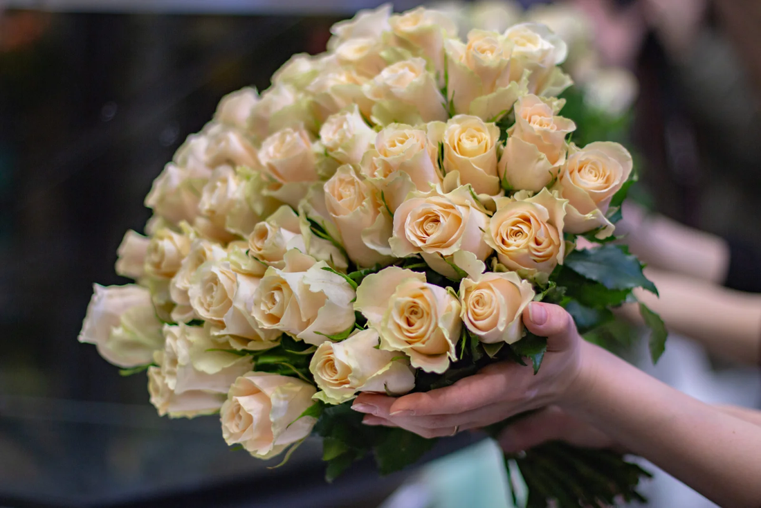 Roses: Why Are They So Popular? A Comprehensive Guide