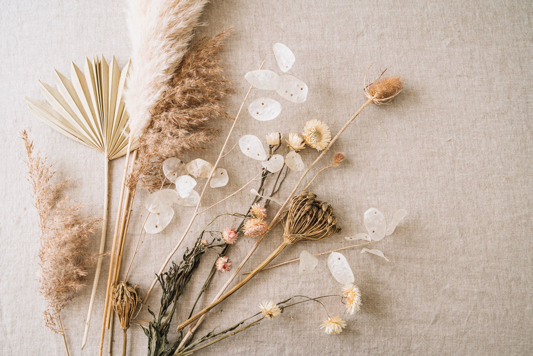 Dried Flowers as an Art Form: Bringing Eternal Summer to Your Home