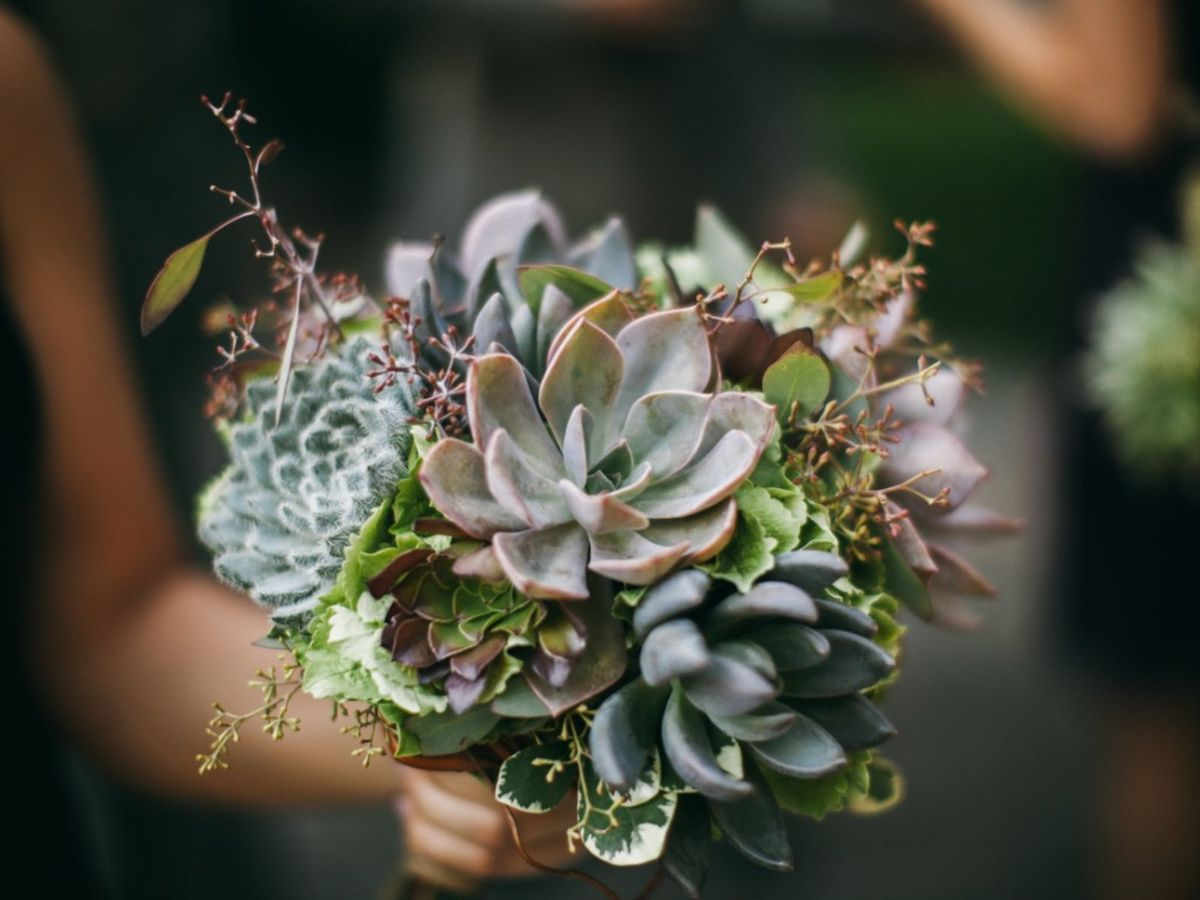 Allergy-Friendly Wedding Bouquets: Modern Floral Solutions for Sensitive Brides