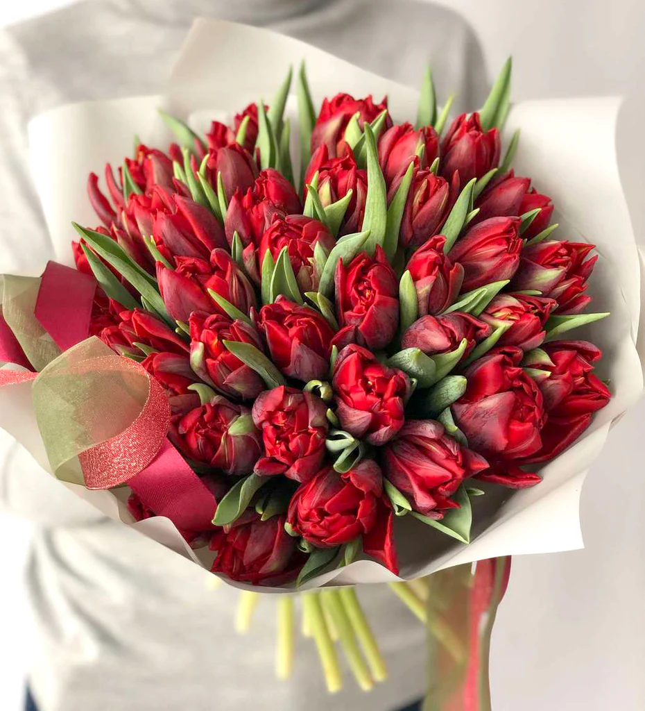 Premium Red Tulips - AVAFlowersUSA