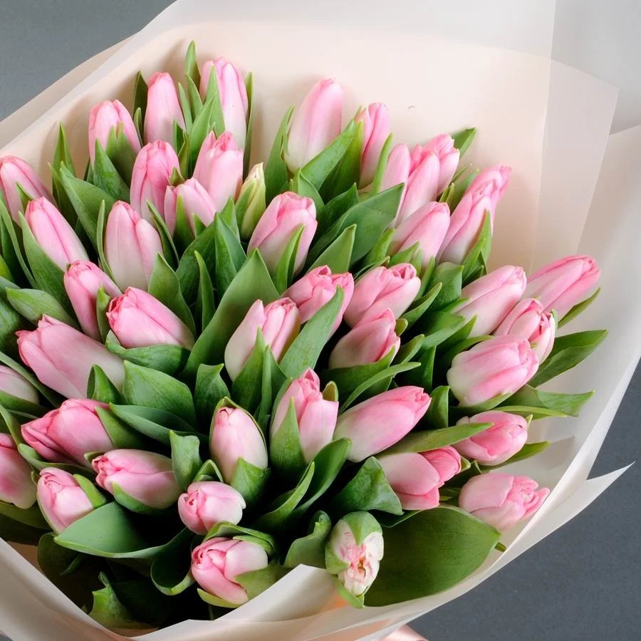 Premium Pink Tulips - AVAFlowersUSA