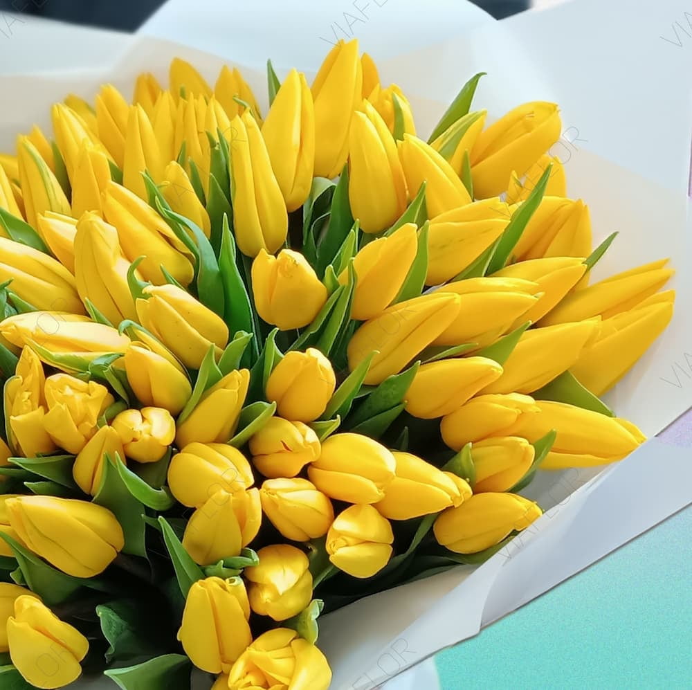 Premium Yellow Tulips - AVAFlowersUSA