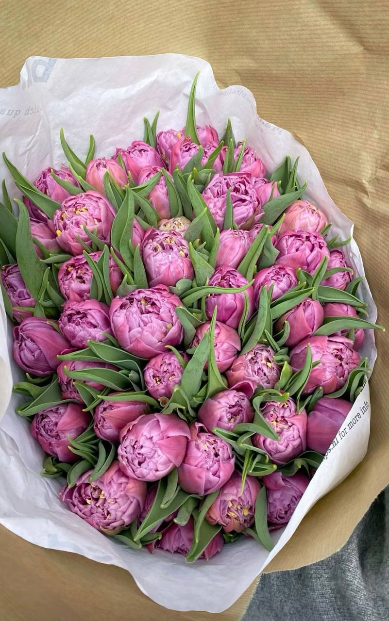 50 Tulips Bouquet - AVAFlowersUSA