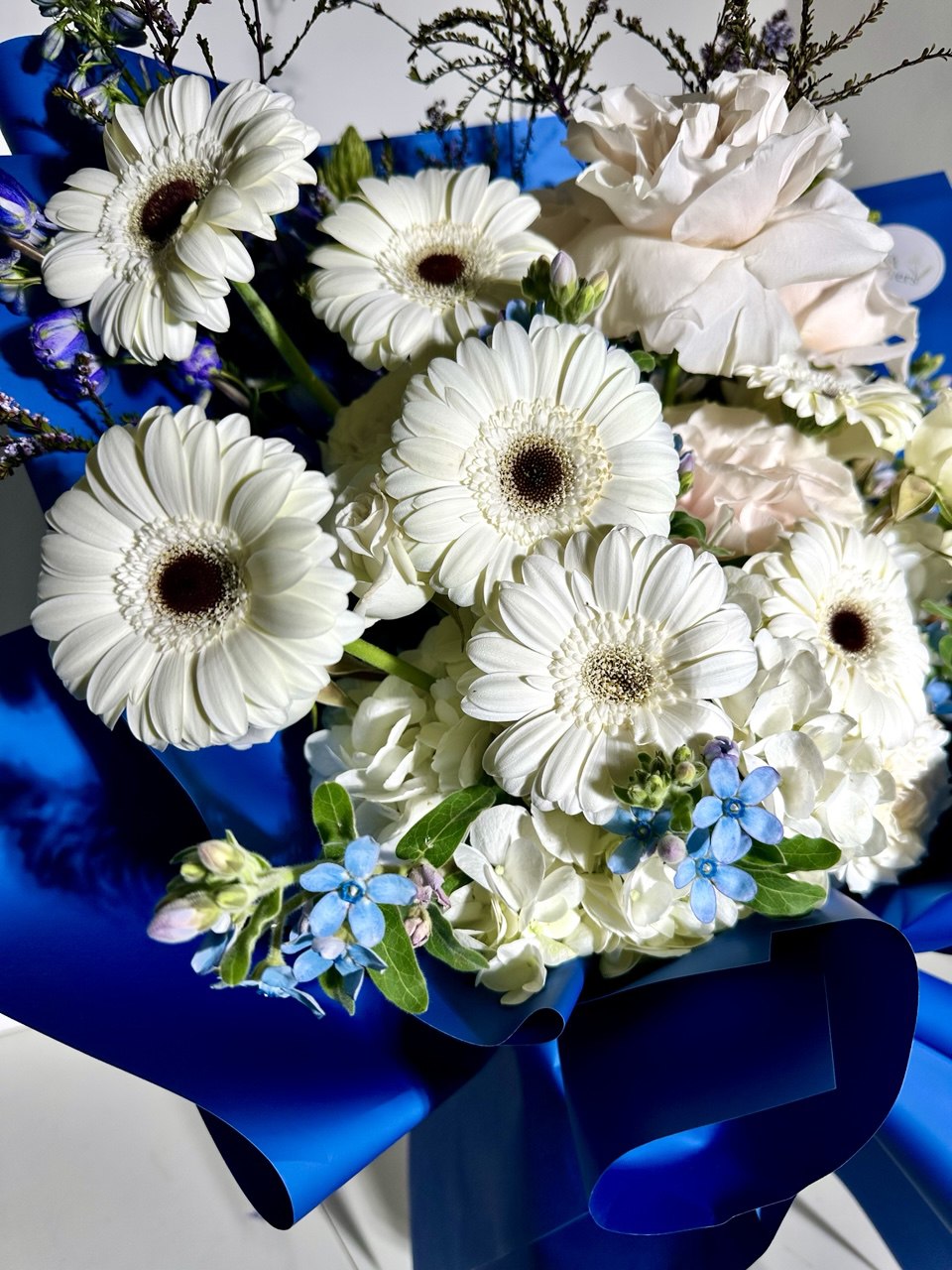 Bouquet of white flowers with blue ribbon on a white background