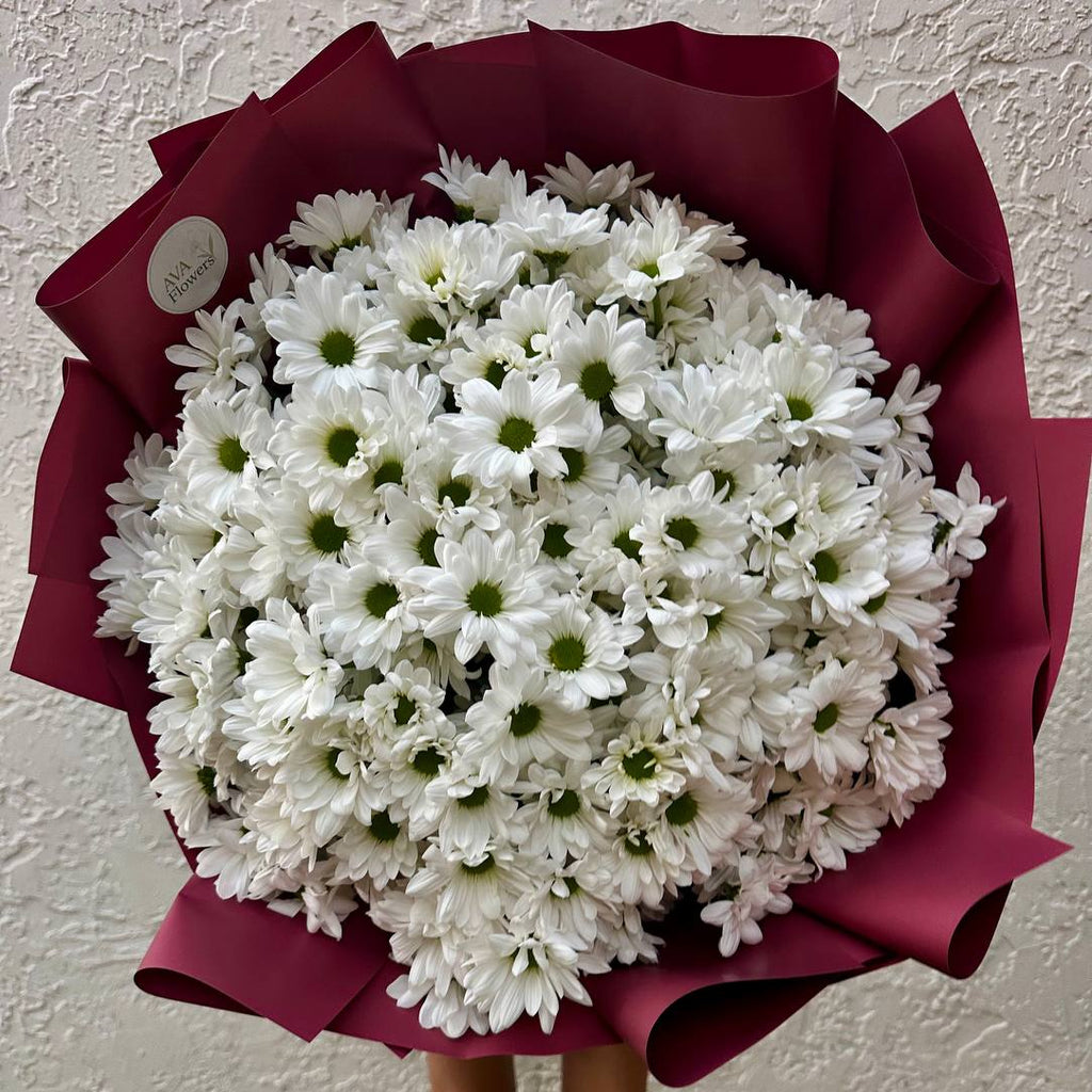 Bouquet of white flowers wrapped in red paper against a plain background