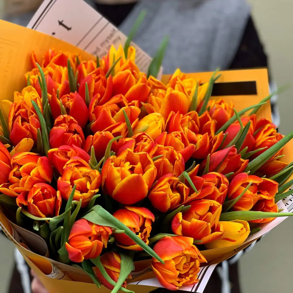 Premium Orange Tulips - AVAFlowersUSA